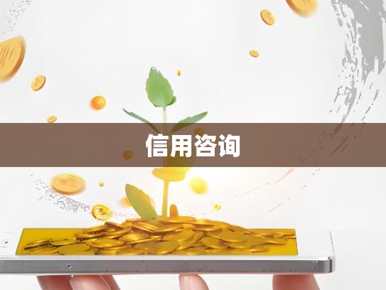 信用咨询
