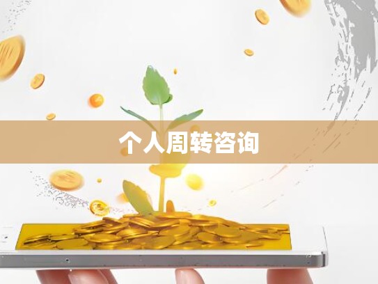 个人周转咨询