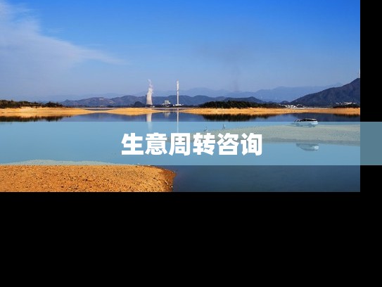 生意周转咨询