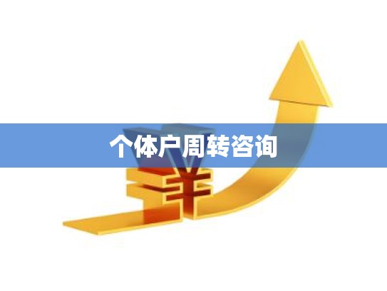 个体户周转咨询