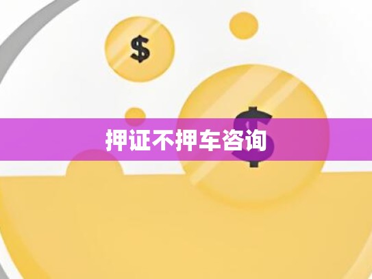 押证不押车咨询